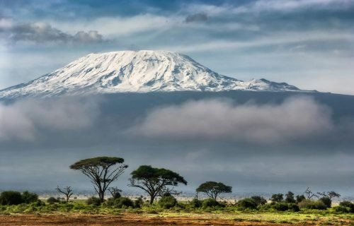 Kilimanjaro Trek